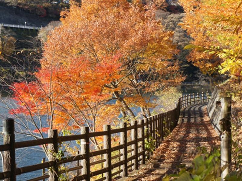 猿京温泉湖乡Le Vent Vert旅馆 水上町 外观 照片
